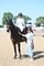 Top Treble Clear for Kerry Harris in final SEIB Big Star Championship Qualifier at Arena UK